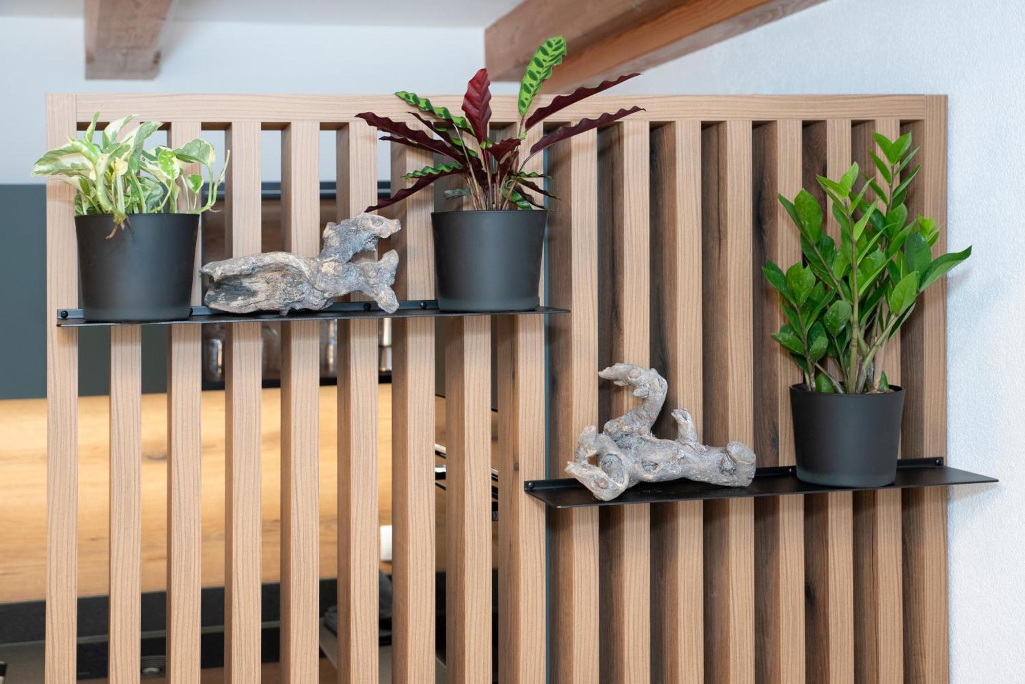 Natural Deluxe Apartments 阿尔卑巴赫 外观 照片