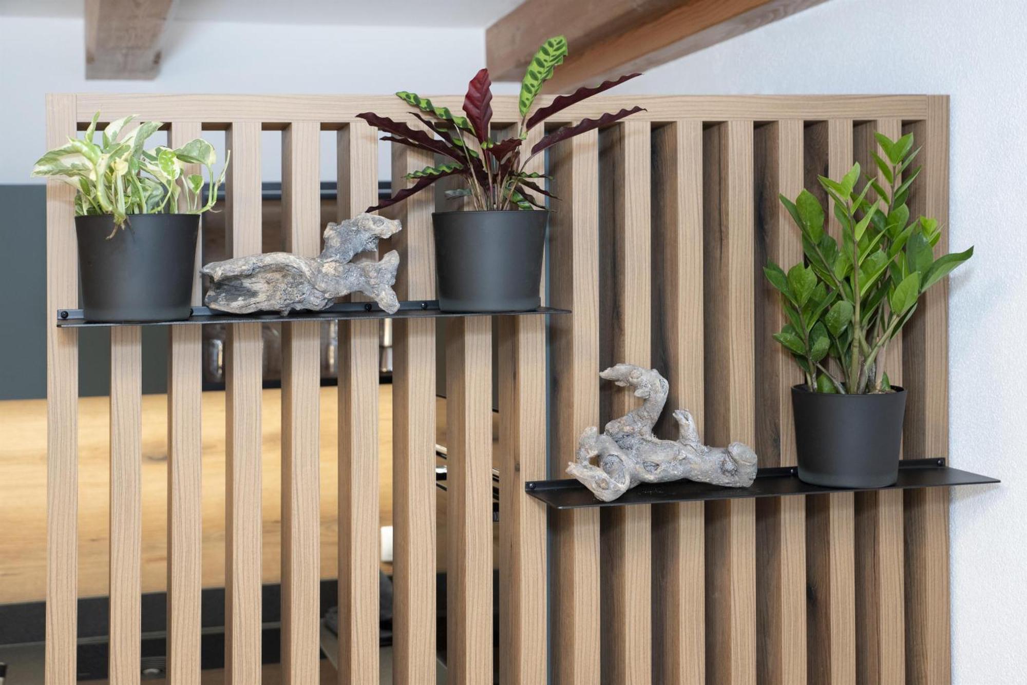 Natural Deluxe Apartments 阿尔卑巴赫 外观 照片